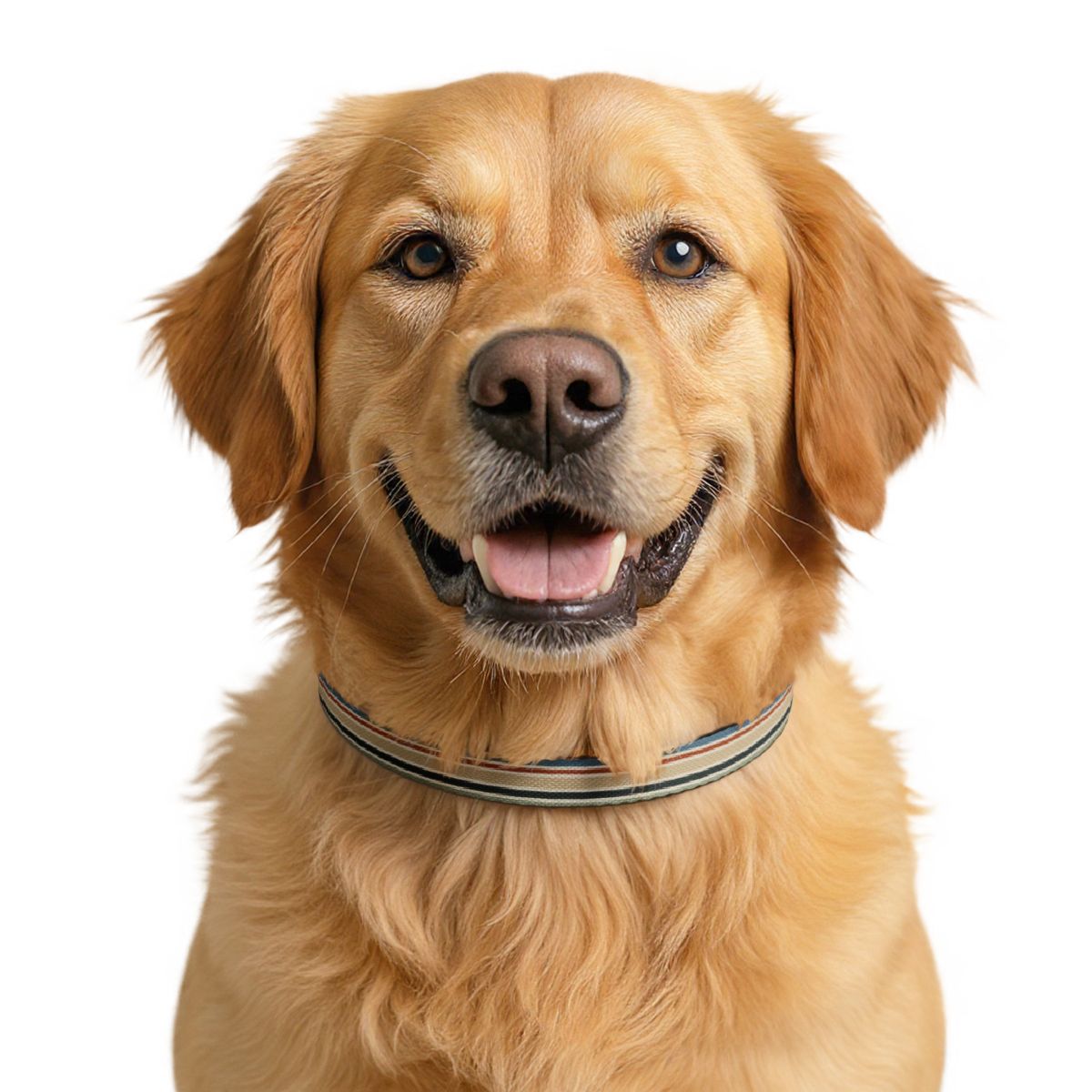 Tower Pet Collar